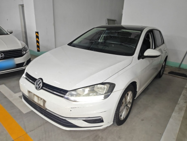 Volkswagen Golf 2019 Volkswagen Golf 2019 car image