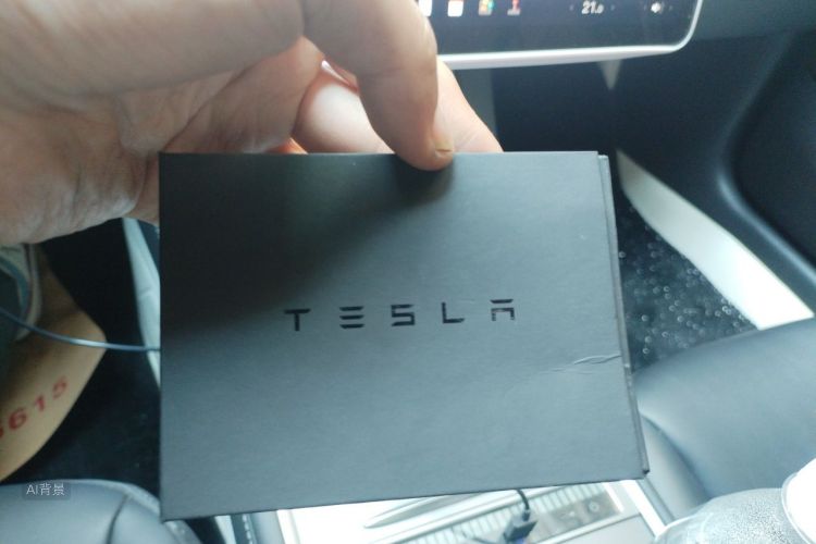 Tesla Model 3 2023 #10 Tesla Model 3 2023 car image #10