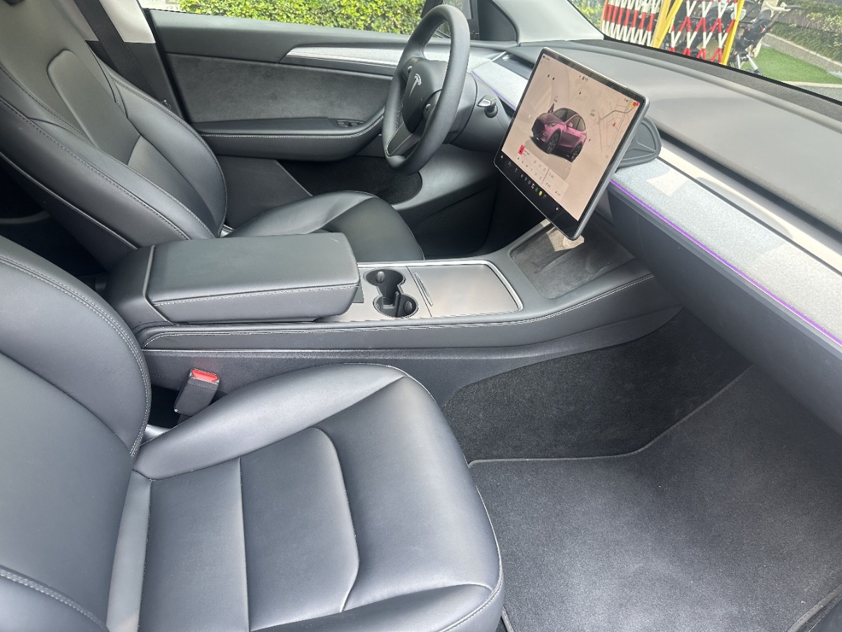 Tesla Model Y 2024 imagen de coche #8