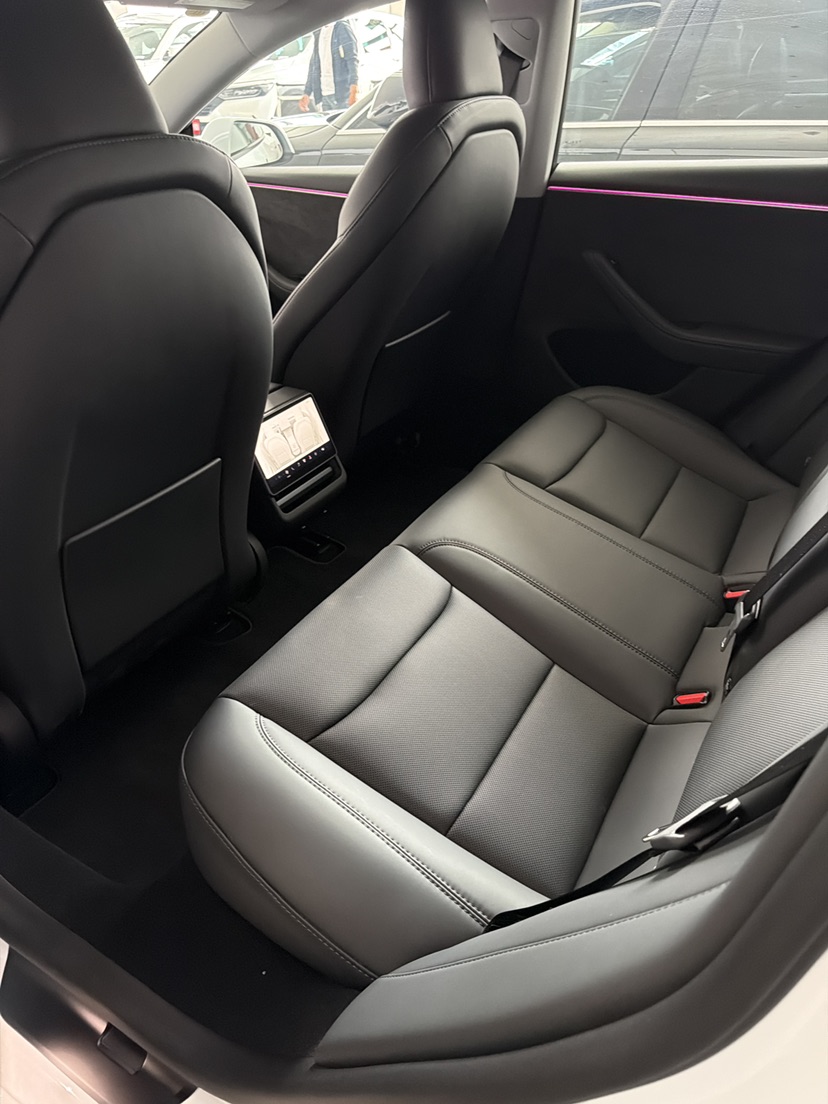 Tesla Model 3 2024 immagine di auto #4