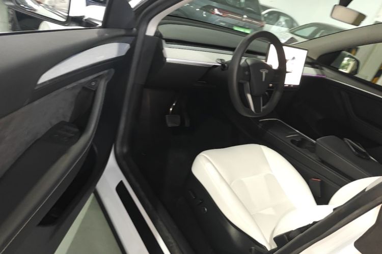 Tesla Model Y 2023 car image #16