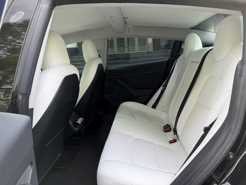 Tesla Model 3 2021 immagine di auto #3