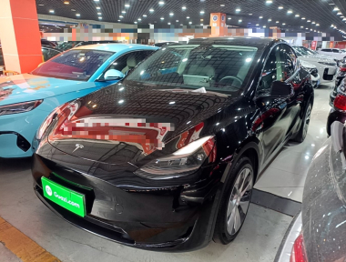 Tesla Model Y 2022 Tesla Model Y 2022 car image