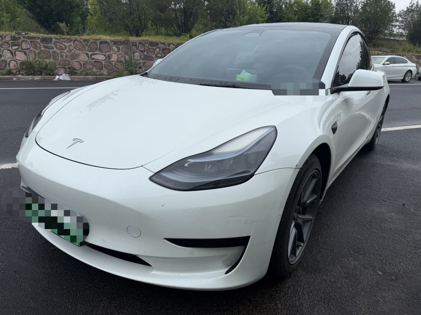 Tesla Model 3 2023 Tesla Model 3 2023 car image