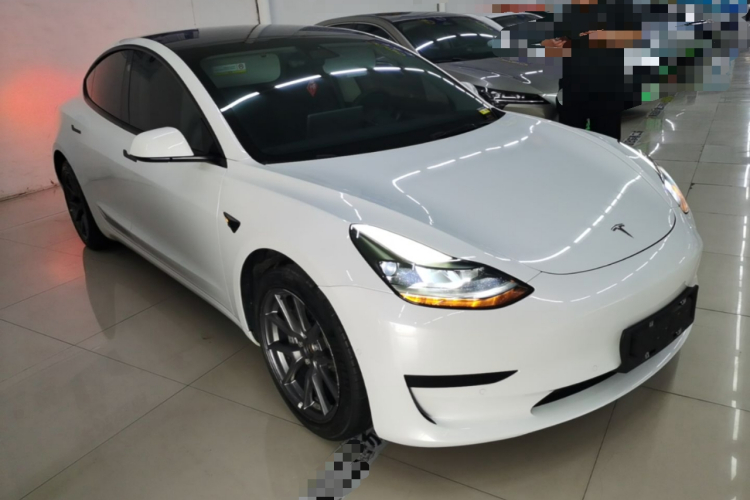 Tesla Model 3 2021 car image #4