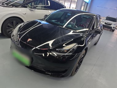 Tesla Model 3 2022 Tesla Model 3 2022 car image