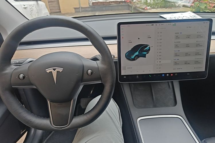 Tesla Model Y 2021 #10 Tesla Model Y 2021 car image #10
