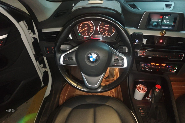 BMW X1 2018 car image #12