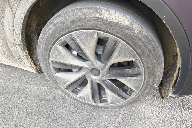 Tesla Model Y 2023 car image #3