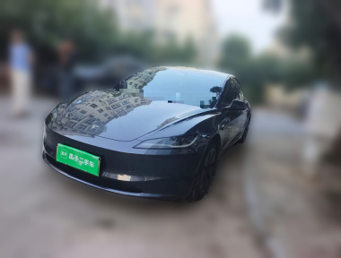 Tesla Model 3 2024 Tesla Model 3 2024 car image