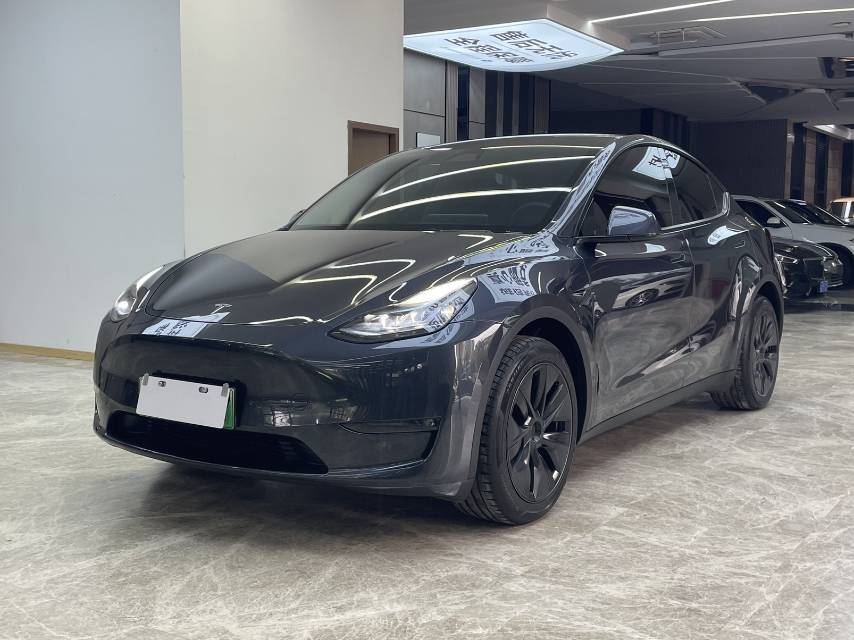 Tesla Model Y 2024 Tesla Model Y 2024 car image