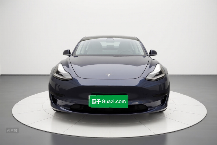 Tesla Model 3 2020 #3 Tesla Model 3 2020 car image #3