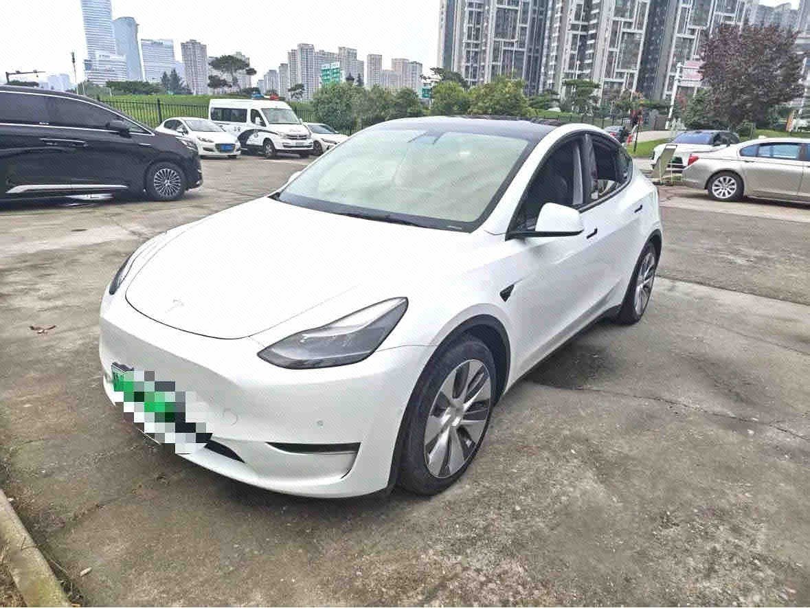 Tesla Model Y 2021 car image 
