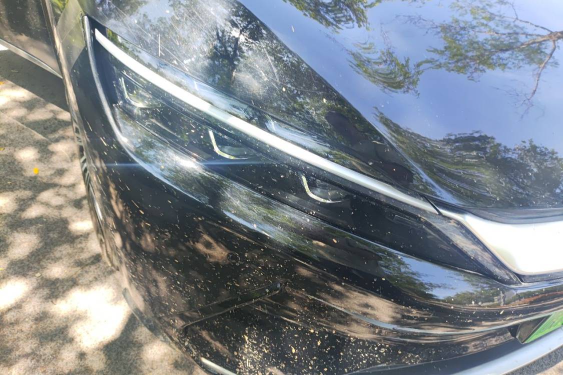 BYD Han 2021 car image #7