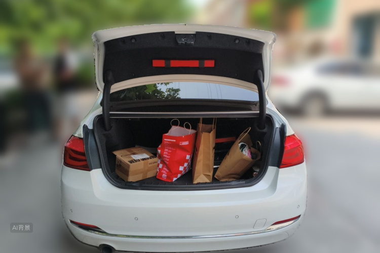 BMW 3 Series 2017 car image #21