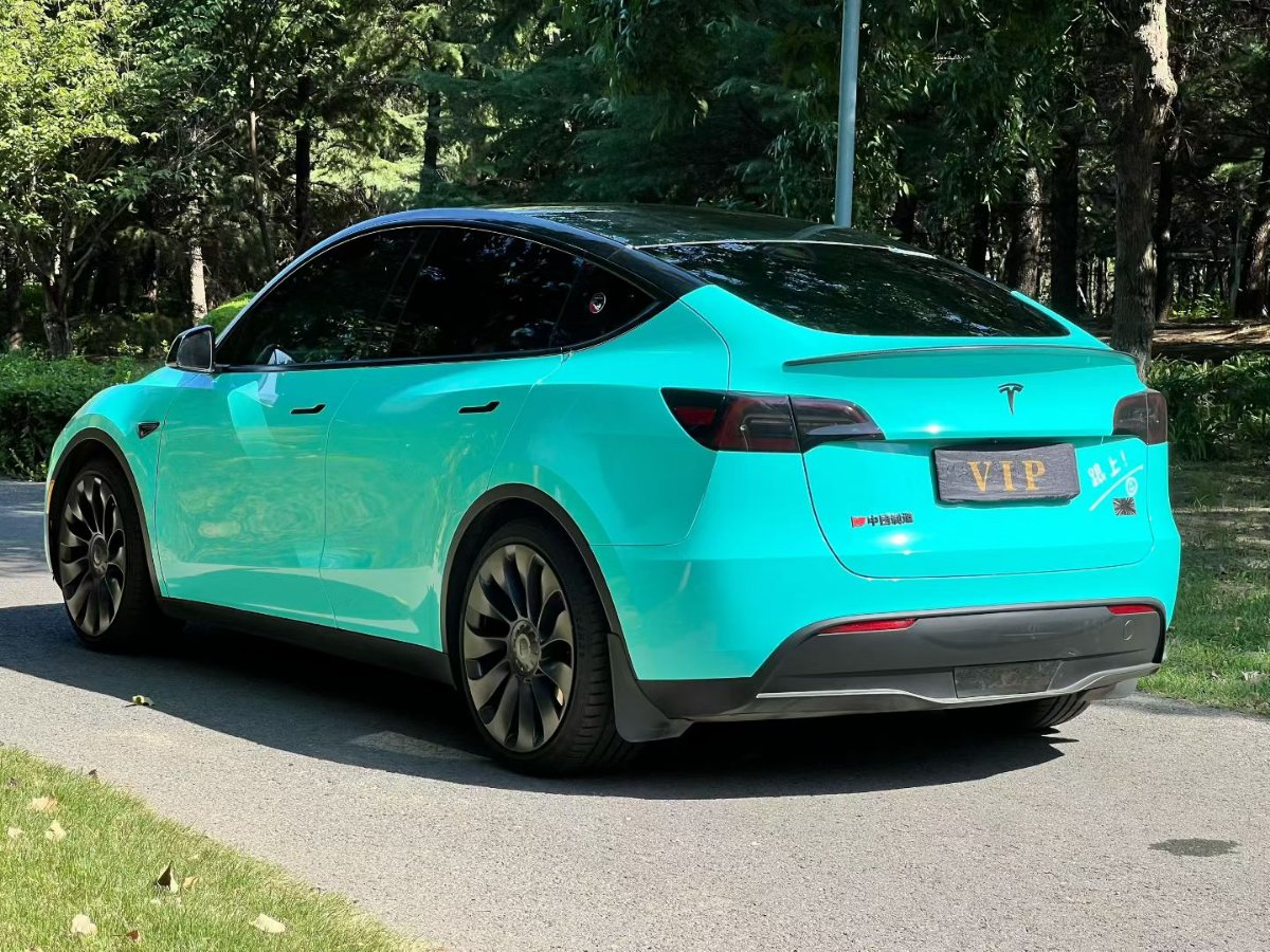 Tesla Model Y 2022 car image #6