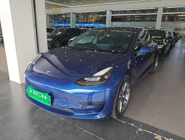 Tesla Model 3 2021 Tesla Model 3 2021 car image