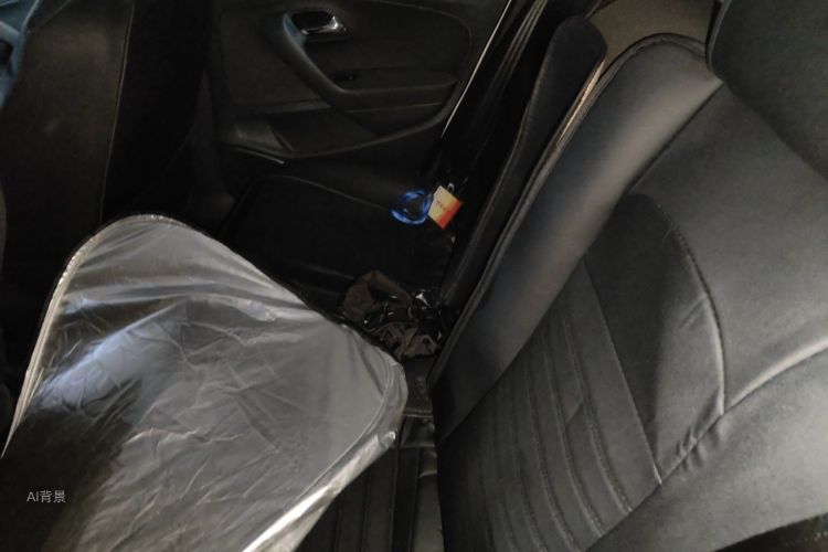 Volkswagen Polo 2016 car image #19