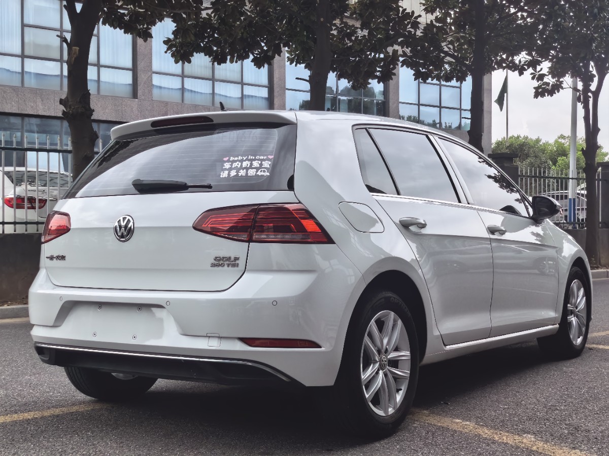 Volkswagen Golf 2019 изображение автомобиля #6