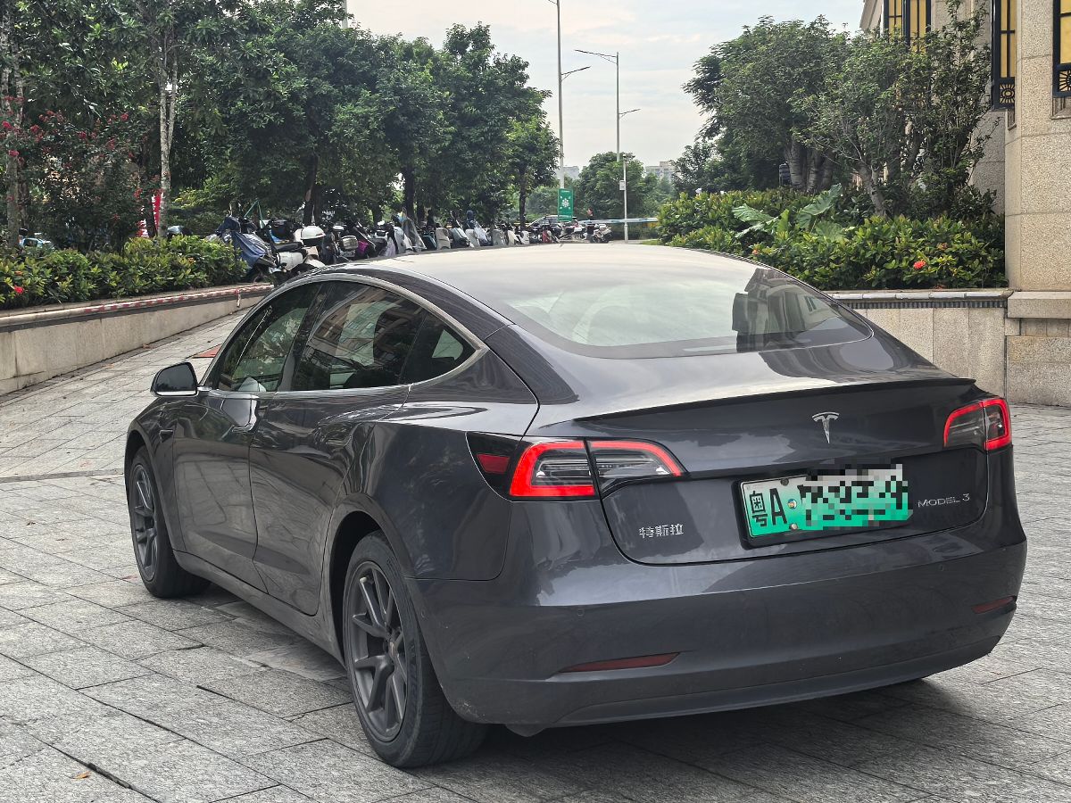 Tesla Model 3 2020 صورة سيارة #7