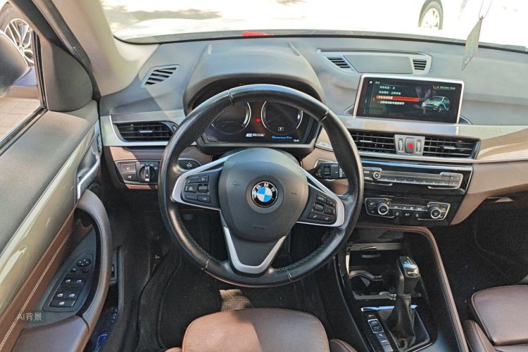 BMW X1 New Energy 2019 car image #12