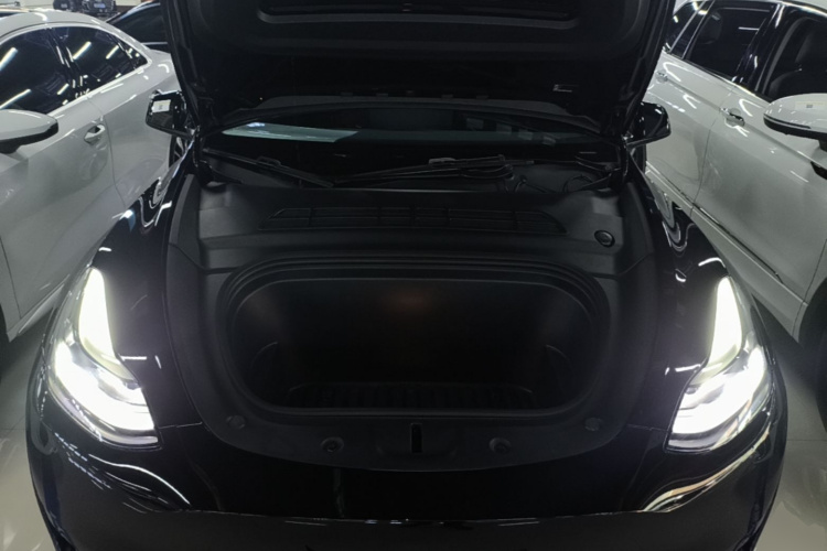 Tesla Model Y 2022 car image #20