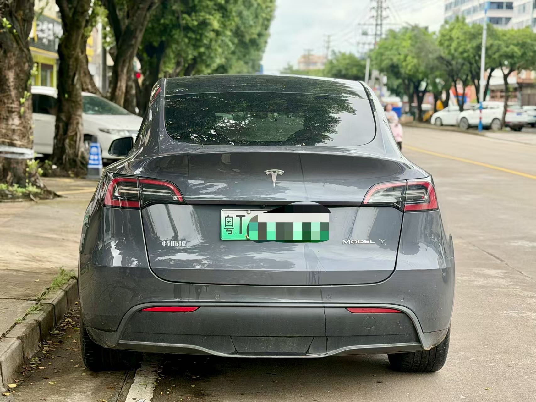 Tesla Model Y 2021 car image #6
