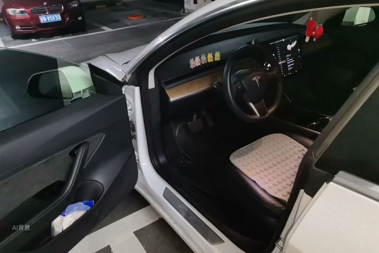 Tesla Model 3 2020 car image #18