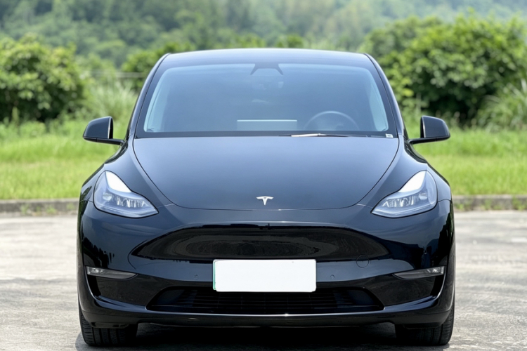 Tesla Model Y 2021 #12 Tesla Model Y 2021 car image #12