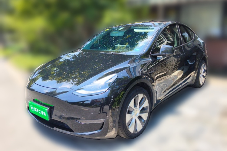 Tesla Model Y 2021 #2 Tesla Model Y 2021 car image #2