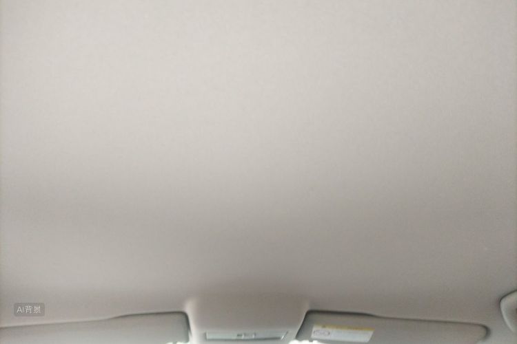 Volkswagen Polo 2016 car image #20