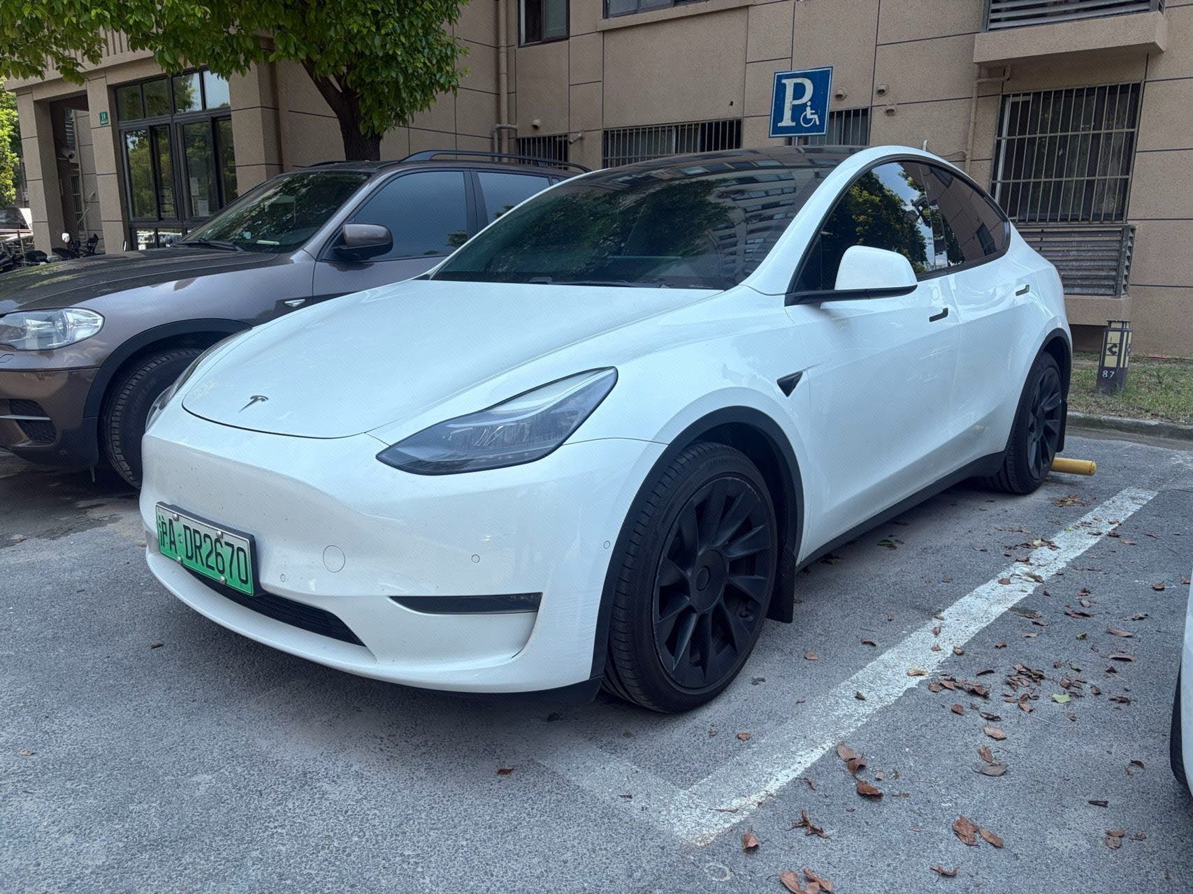 Tesla Model Y 2021 Tesla Model Y 2021 car image