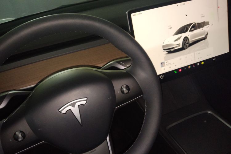 Tesla Model 3 2023 car image #18