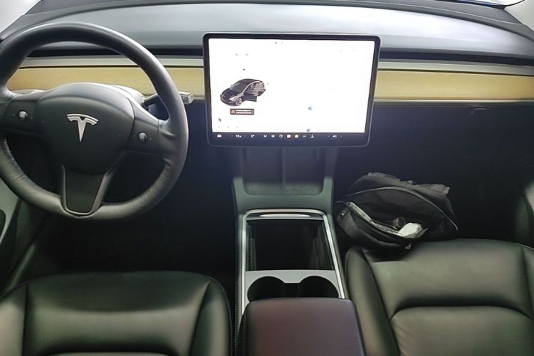 Tesla Model 3 2021 #10 Tesla Model 3 2021 car image #10