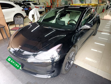 Tesla Model 3 2020 Tesla Model 3 2020 car image