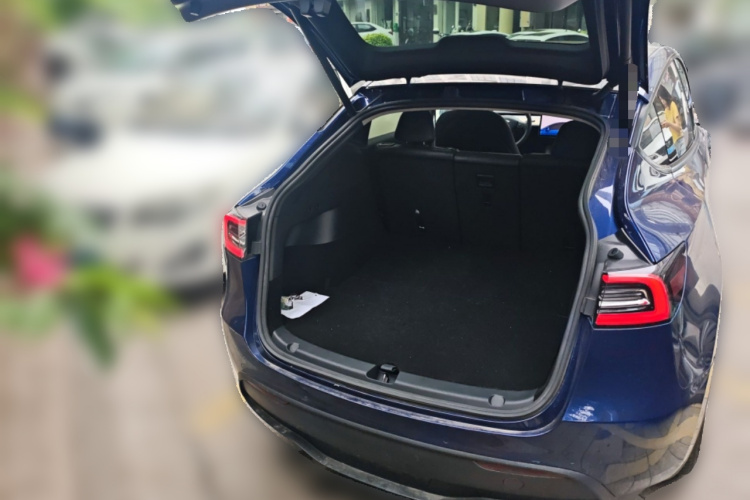 Tesla Model Y 2021 #21 Tesla Model Y 2021 car image #21