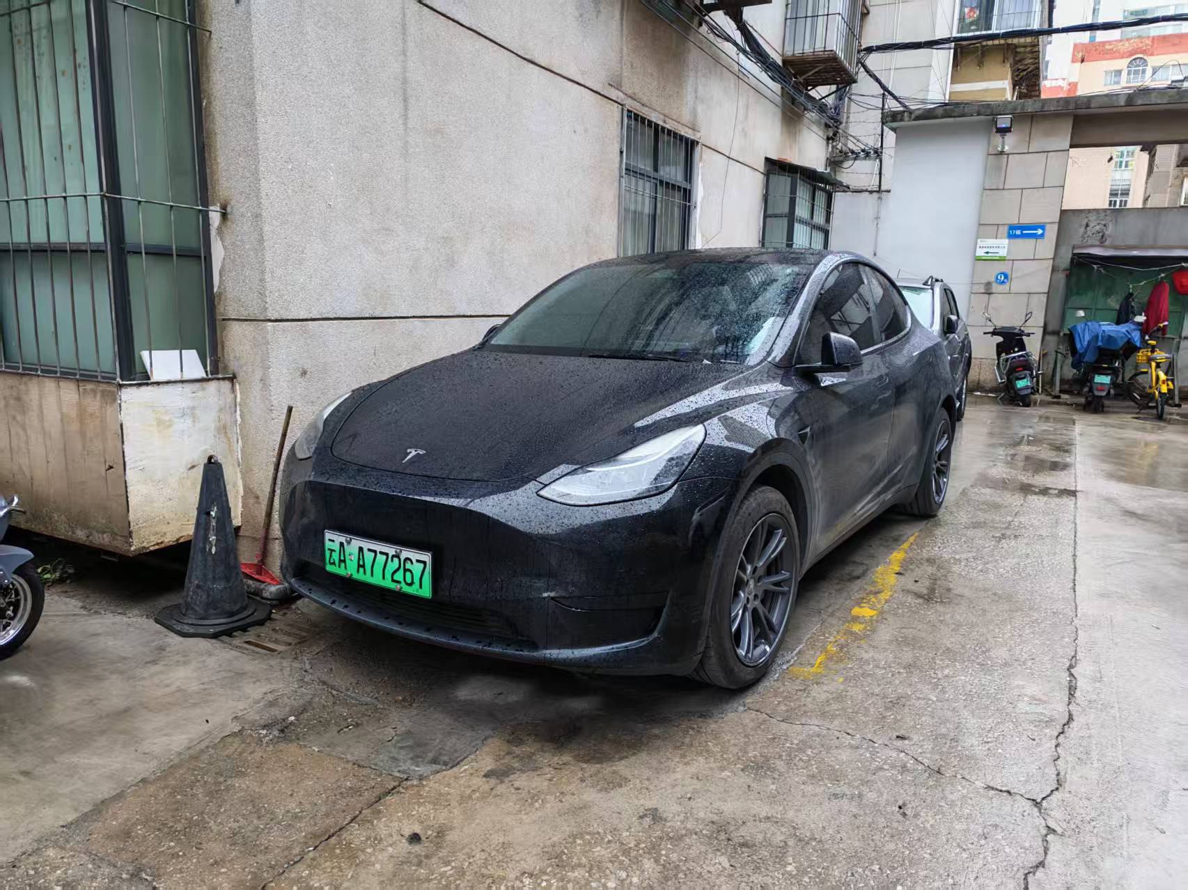 Tesla Model Y 2023 car image 