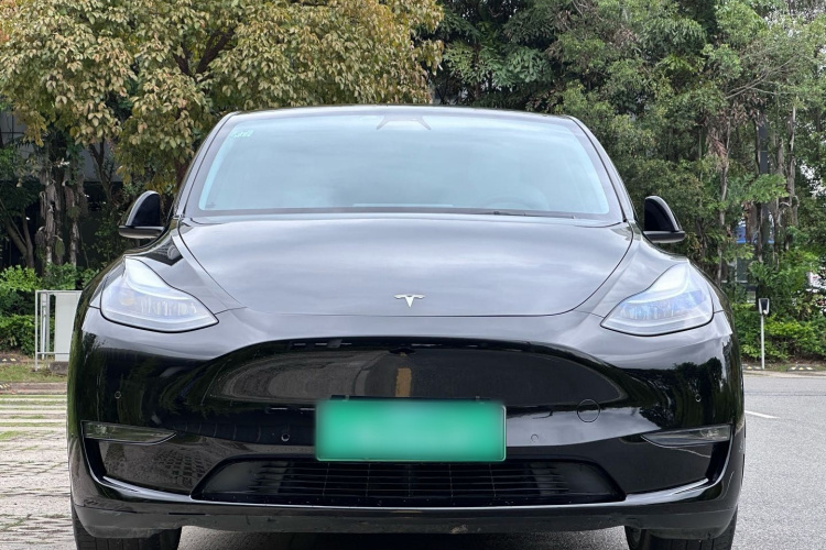 Tesla Model Y 2021 #3 Tesla Model Y 2021 car image #3