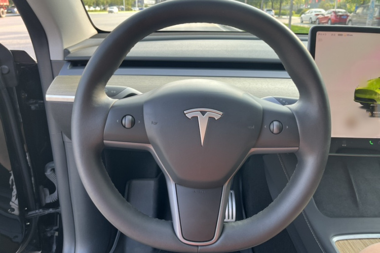 Tesla Model Y 2023 car image #12