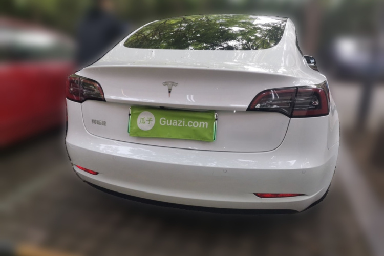 Tesla Model 3 2020 car image #6
