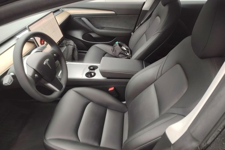 Tesla Model 3 2021 car image #19