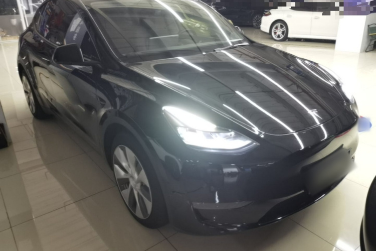 Tesla Model Y 2021 car image #4