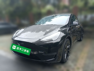 Tesla Model Y 2021 Tesla Model Y 2021 immagine di auto