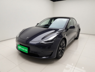 Tesla Model 3 2022 Tesla Model 3 2022 car image