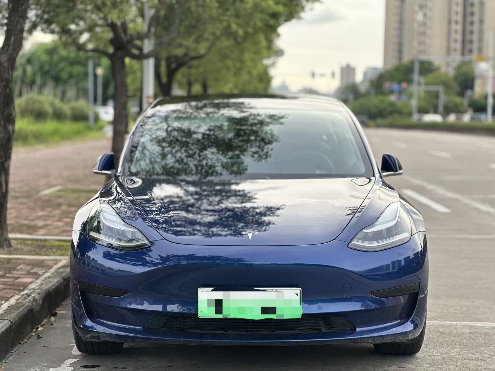 Tesla Model 3 2020 car image #2