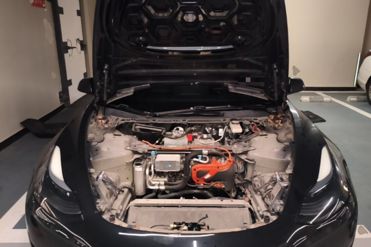 Tesla Model 3 2023 #18 Tesla Model 3 2023 car image #18