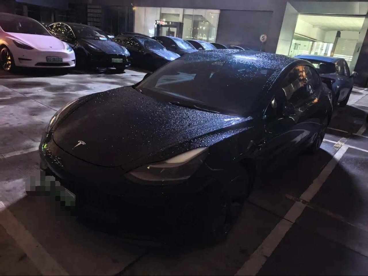 Tesla Model 3 2021 car image 