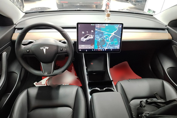 Tesla Model 3 2020 car image #10