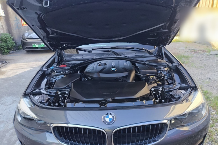 BMW 3 Series GT 2018 car image #20