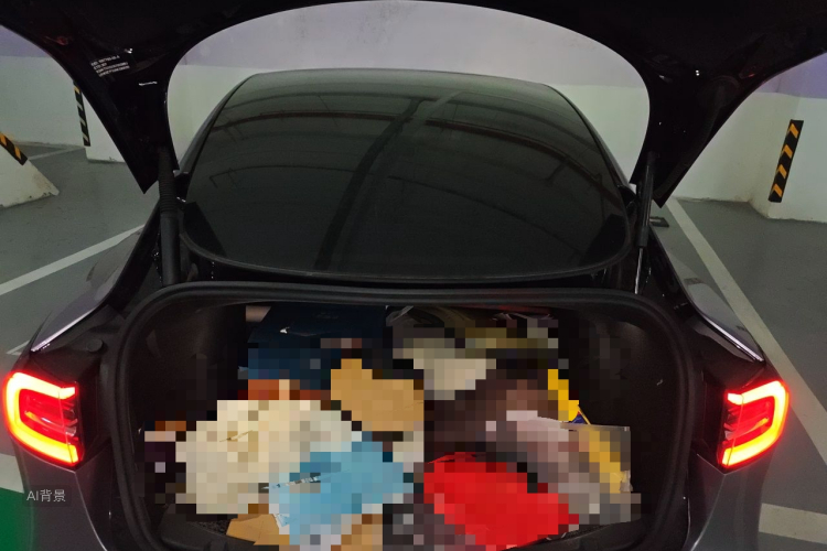 Tesla Model 3 2022 #21 Tesla Model 3 2022 car image #21